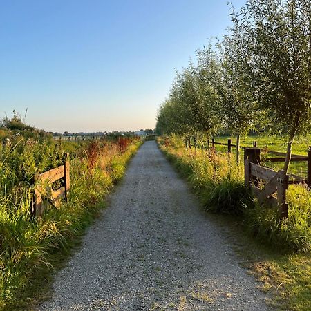 Fields 1216 Bed & Breakfast Zwaanshoek Luaran gambar
