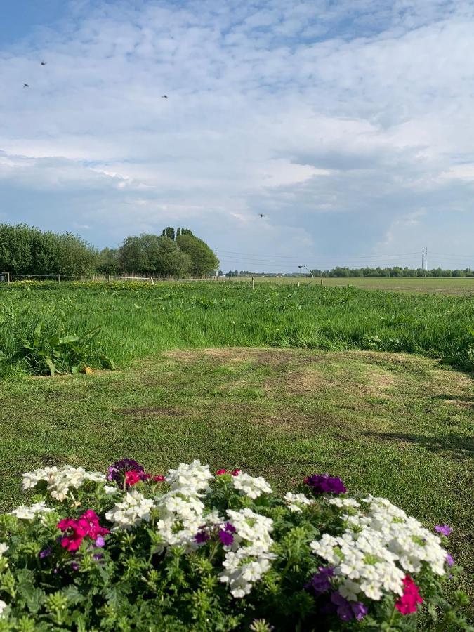 Fields 1216 Bed & Breakfast Zwaanshoek Luaran gambar