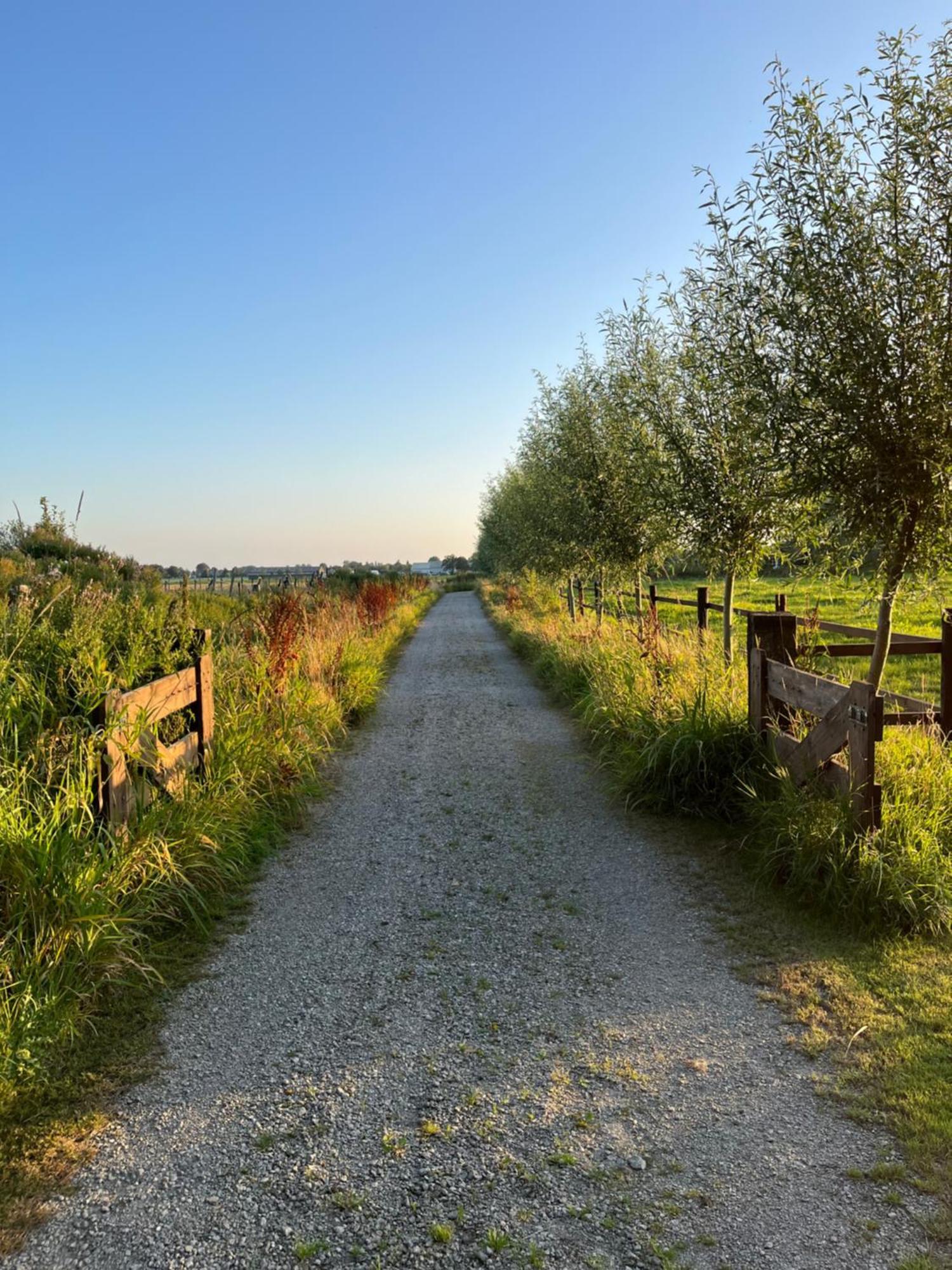 Fields 1216 Bed & Breakfast Zwaanshoek Luaran gambar